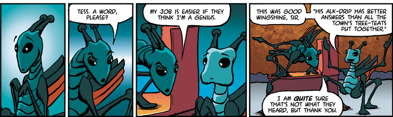 schlock20160508c.jpg?v=1461898883045